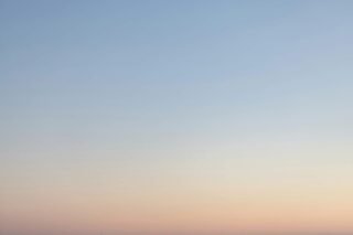 Assure polite his really and others figure though